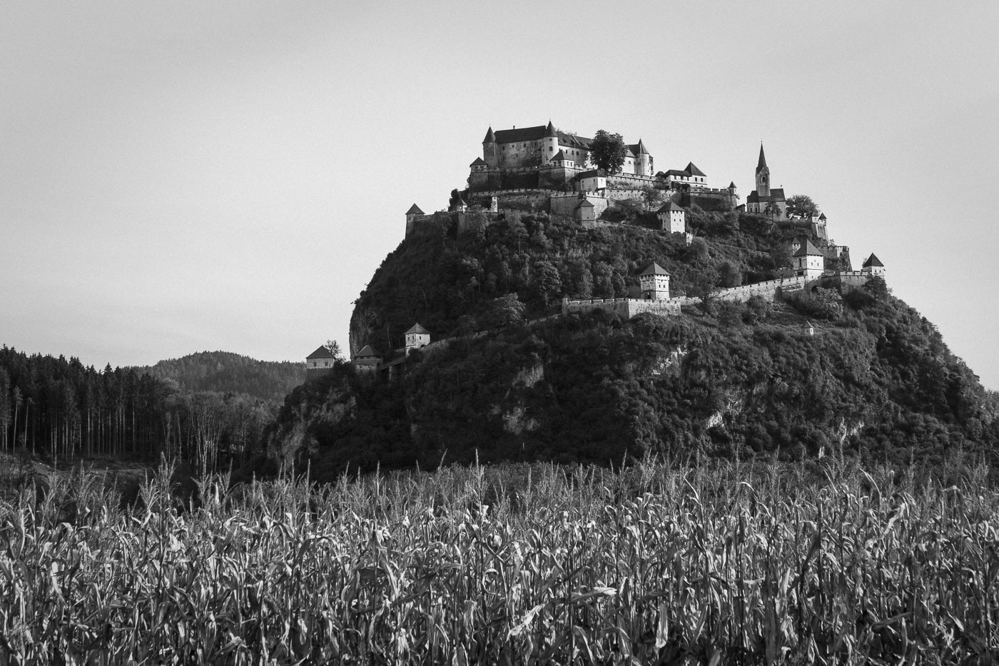 Photography Personal Project