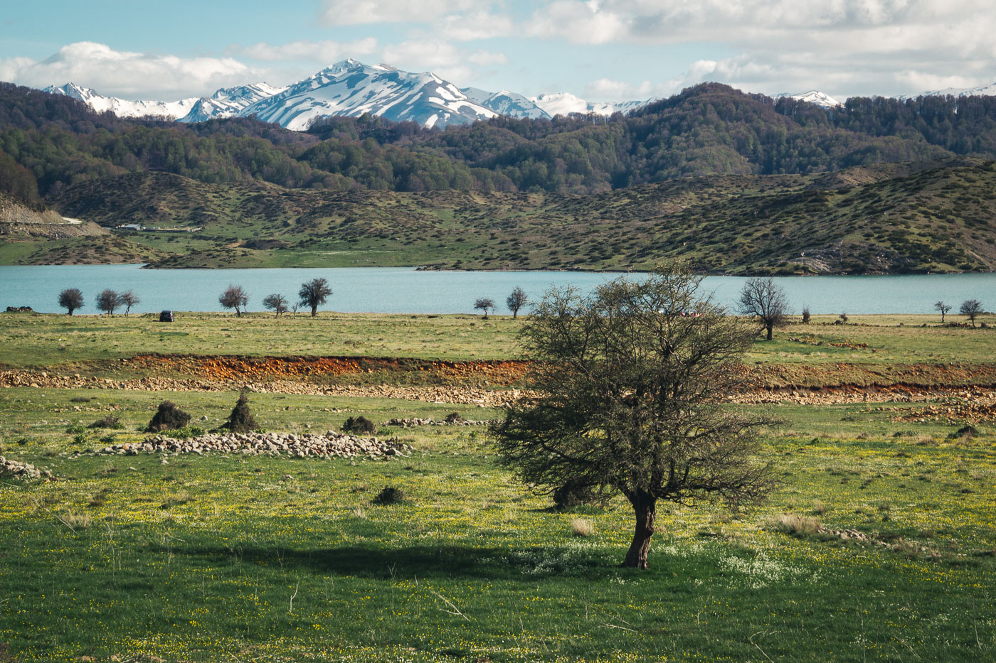 Photography Personal Project